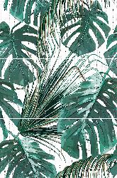�������� / Paradise S/3 SW9PAR55 ����� 750*500*9