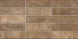 ������� ���� ���������� / Elbrus Brick Marron WT36ELR31 ������ ��������� 300*600*9