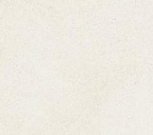 ������ 20,1*50,5 SONNET LATTE