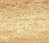 �������� ��� / Paradise Wood WT9OAS31 ������ ��������� 250*500*9