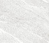GFU60120NXT00R ������������ �������� ������ ��������� / Nexstone 600*1200