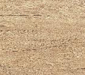 TWU2550MLN04 ������ ������������ ��������� ������ / Miloni 249*500
