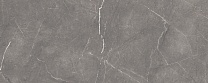 Fronda Плитка настенная серый 20х50