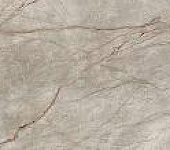 Empire Silver Root 120x278 Lapp