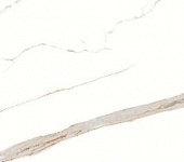 ������������ Signorina Gold carving 60*60��