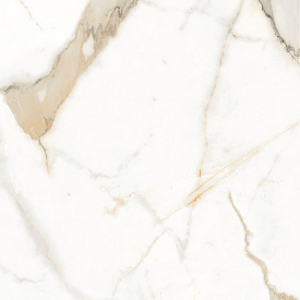 ��������� �������� ������������ ����� 60�60 ������������