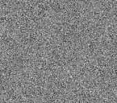 ���� �����-����� / Gresse Graphite GP36GRS25 ������������ ������� 300*600