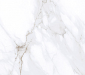 ���� ������������ ����� SG169100N 40,2�40,2