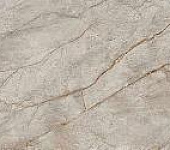 Empire Silver Root Rett 60x120 Lapp