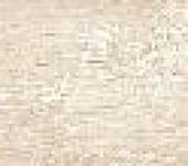 ���������� �������� / Plasterwood Crema GP2090PLS01R ������������ �������� ������ 200*900