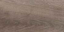 Plant Плитка настенная коричневый 08-01-15-2685 20х40