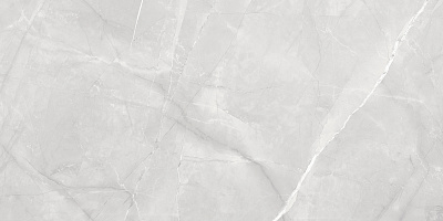 �������� ������� ������������ ����� LP6012G0021R 59,5�119,1 ������� �������