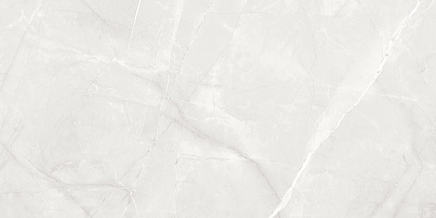 �������� ���� ������������ ������-����� LP6012G0011R 59,5�119,1 ������� �������