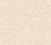 8080NVL11M ����� �������� / Nevel Crema ������������ ������� ������� 800*800