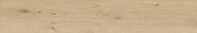 ���� ������������ ������� SG517100R 19,6�119,5