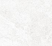 TWU2550PRS07 ������ ������������ ������ / Persey 249*500
