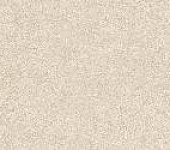 GFU60120BLN80R ������������ ������� ������ / Berlin 600*1200*8,5