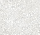 ������ ������������ ������-����� �������� SG645520R 59,5�59,5 �������